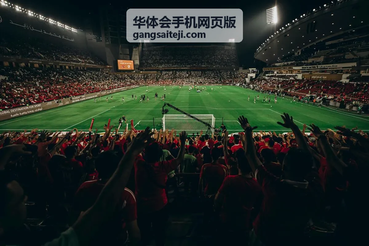 华体会手机网页版历史数据回看界面示意